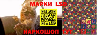 a pvp Заводоуковск