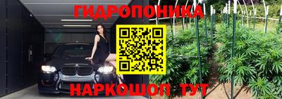 a pvp Заводоуковск
