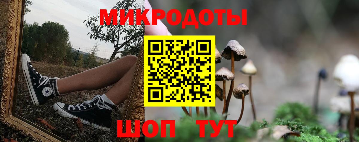 Назрань  Галлюциногенные грибы Psilocybe  Вход с VPN 